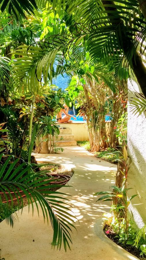 Maya Vacanze Playa Alegria Playa del Carmen Extérieur photo