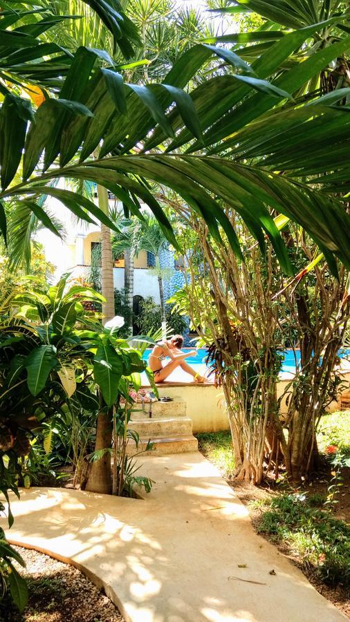 Maya Vacanze Playa Alegria Playa del Carmen Extérieur photo